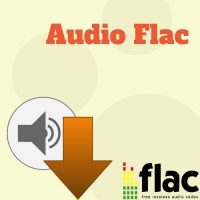 Icona Audio Flac